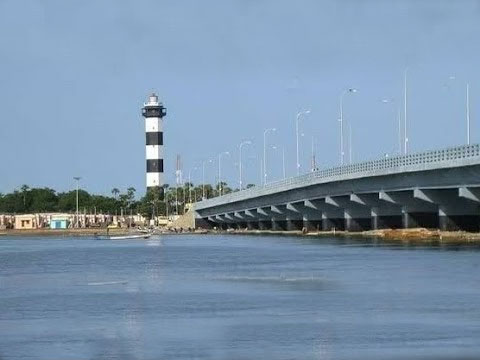 Pazhaverkadu Fresh Catch