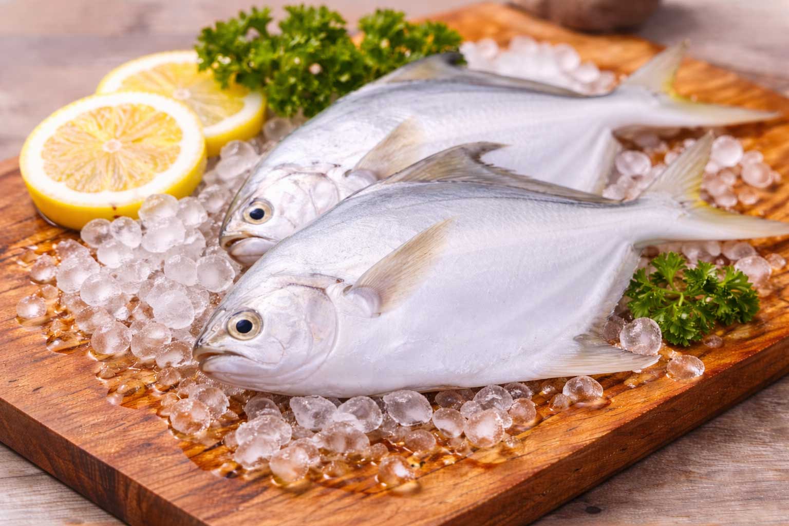 White Pomfret Fish in Pazhaverkadu
